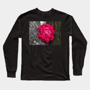 Pink Flower in Tree 1 Long Sleeve T-Shirt